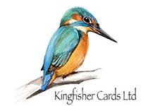 KINGFISHER CARDS                                                                                                                                                                                                                                
