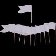 (10) CAROLINE SANDWICH FLAGS