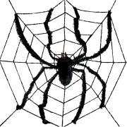 LARGE SPIDER WEB & SPIDER