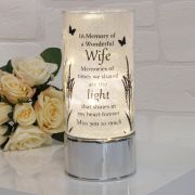 WIFE THOUGHTS OF YOU TUBE LIGHT