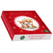 12PK SQUARE A CORGI CHRISTMAS PREMIUM BOXED CARDS