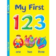MY FIRST 123 BOOK