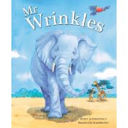 MR WRINKLES PICTURE BOOK