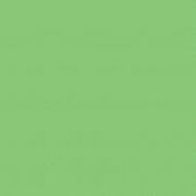 54X108IN KIWI GREEN PLASTIC TABLECOVER