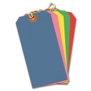 (10) COLOURED TIE ON TAGS  10S