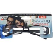 +2.50 READING GLASSES  10S